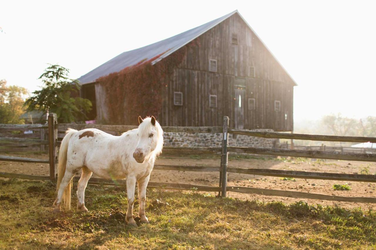 Gettysburg Battlefield Bed & Breakfast Inn 外观 照片